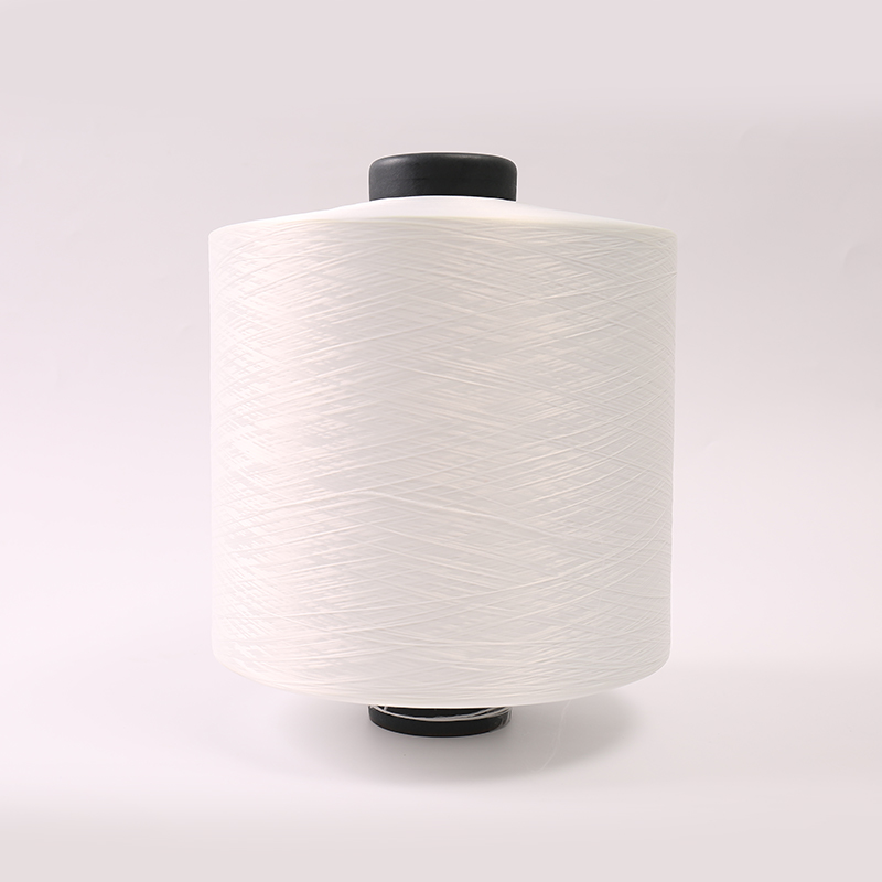 Polyester Yarn DTY 450D/192F